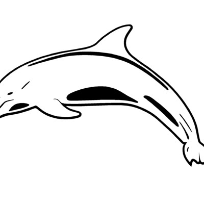 Dolphin